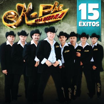 necesito una compañera-cover