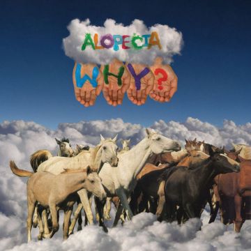 Why-cover