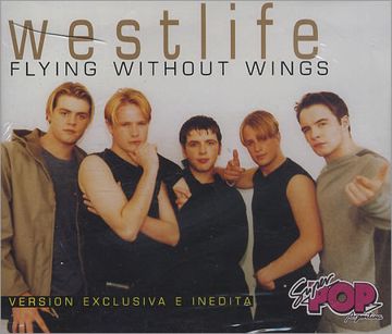 Flying Without Wings -cover