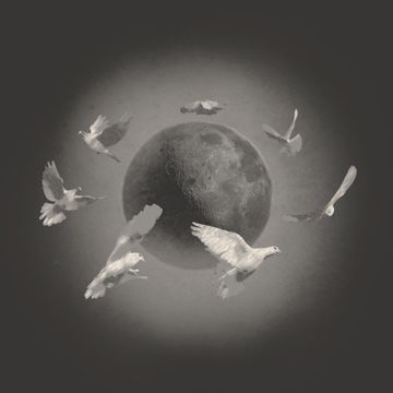 登月-cover