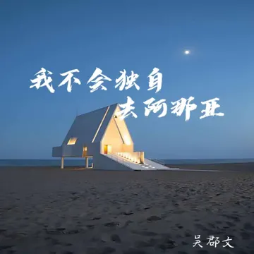 我不会独自去阿那亚-cover