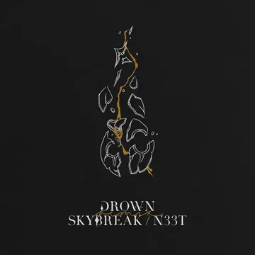 Drown (Skybreak, N33T Remix)-cover