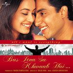 Dil Nasheen(Bas Itna Sa Khwaab Hai / Soundtrack Version)-cover
