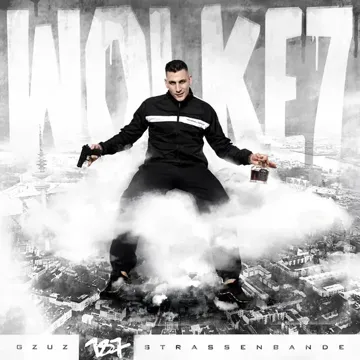 ¿ Warum ?-cover