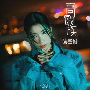 高敏族-cover