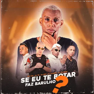 Se Eu Te Botar Faz Barulho-cover