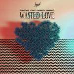 Wasted Love(Foxela Remix)(Remix)-cover