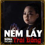 Nếm Lấy Trái Đắng(TikTok Version 3)-cover
