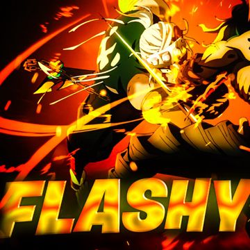 Flashy-cover