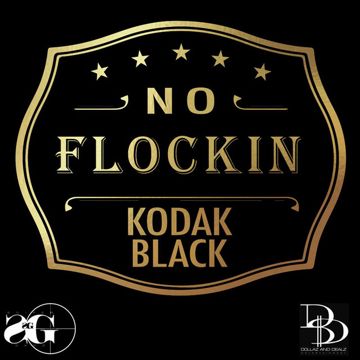 No Flocking-cover