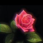 Yeli Yeli. (feat. B. South)-cover