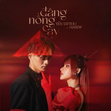 Đắng Nồng Cay-cover