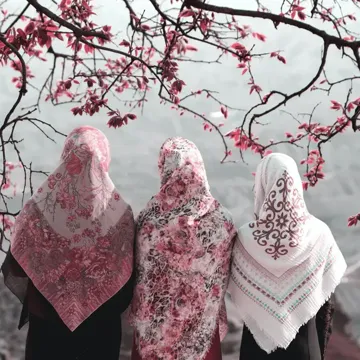 coveImg