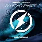 Any Way You Want It-cover