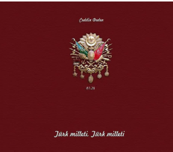 gece golgenin rahatına bak-cover