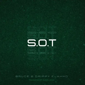 S.O.T-cover