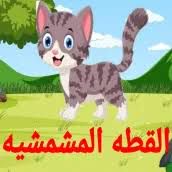 القطة المشمشيه