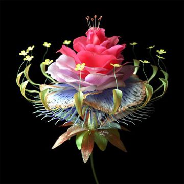 Super Natural-cover
