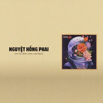 Nguyệt Hồng Phai (Remix)-cover