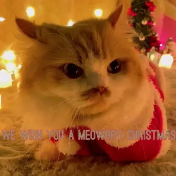 We Wish You a Meowrry Christmas-cover