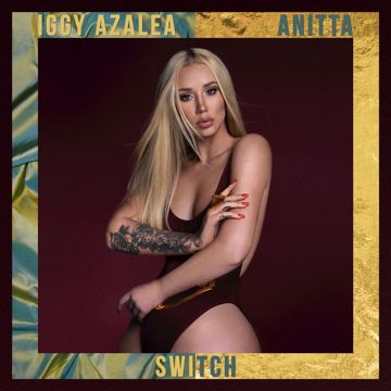 Switch-cover