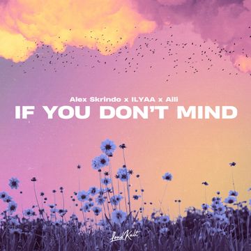 If You Don't Mind-cover