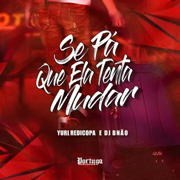 Se Pa Que Ela Tente Mudar-cover