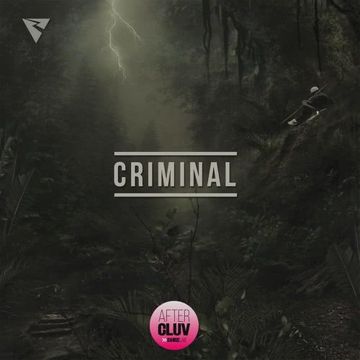 Criminal-cover