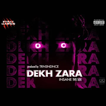 Dekh Zara-cover