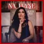 Na Jaane-cover