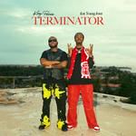 Terminator(Remix)-cover