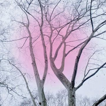 ૮⸝⸝ᴗ͈ ‸ ᴗ͈⸝⸝ა-cover