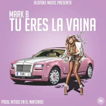 Tu Eres la Vaina-cover