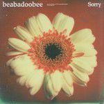 Sorry-cover