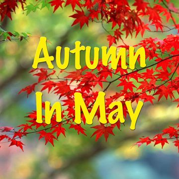 Autumn to May-cover