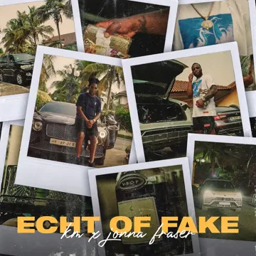 Echt of Fake-cover