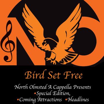 Bird Set Free