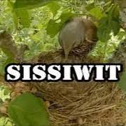SISSIWIT