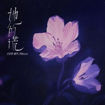 她的谎-cover