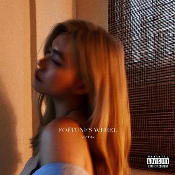 Fortune's Wheel-cover