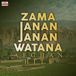 afghan-hits-farsi-cover-image