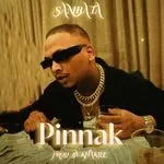 Pinnak-cover