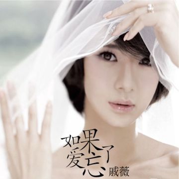 如果愛忘了-cover