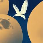 Fly Me To The Moon
