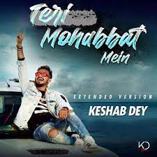 Hum Teri Mohabbat Mein