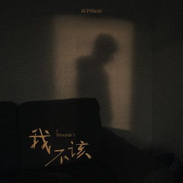 我不该-cover