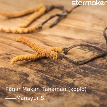 Pagar Makan Tanaman (koplo)-cover