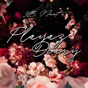 Playaz Diary-cover