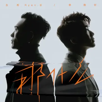 那什么-cover