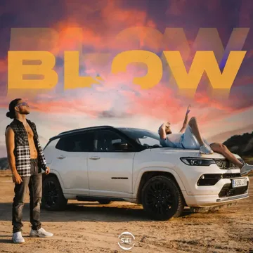 Blow-cover